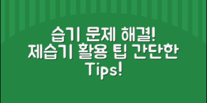 제습기 활용 팁: 집안 습기 문제 해결하기!