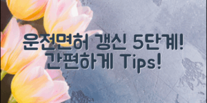 운전면허갱신절차: 간편하게 알아보는 5단계!