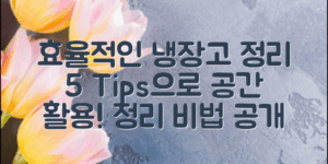 냉장고정리노하우: 효율적으로 공간 활용하는 5가지 팁