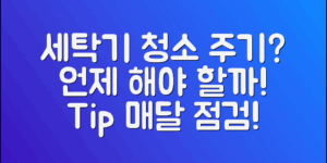 세탁기 청소 주기, 언제가 적절할까?