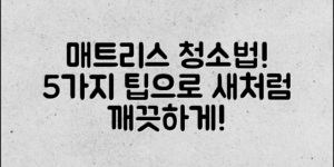 매트리스청소법: 5가지 팁으로 새처럼 깨끗하게!