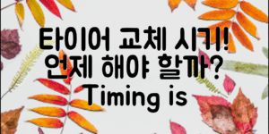 자동차 타이어 교체 시기, 언제가 적절할까요?