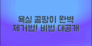 완벽 가이드: 욕실곰팡이 없애기 비법
