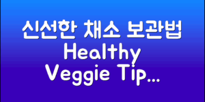 올바른 냉장고 채소 보관법으로 신선도를 높이고, 식탁의 건강을 지켜보세요!
