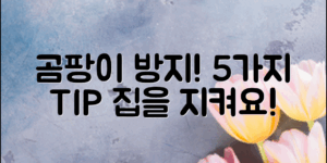 곰팡이방지방법: 집안을 지키는 5가지 팁