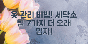 ** 세탁소 옷 관리 팁, 당신의 옷이 더 오래가게 할 7가지 비법은?