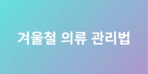 겨울철 의류 관리법