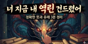 “너 지금 내 역린 건드렸어” 정확한 뜻과 유래 3분 정리